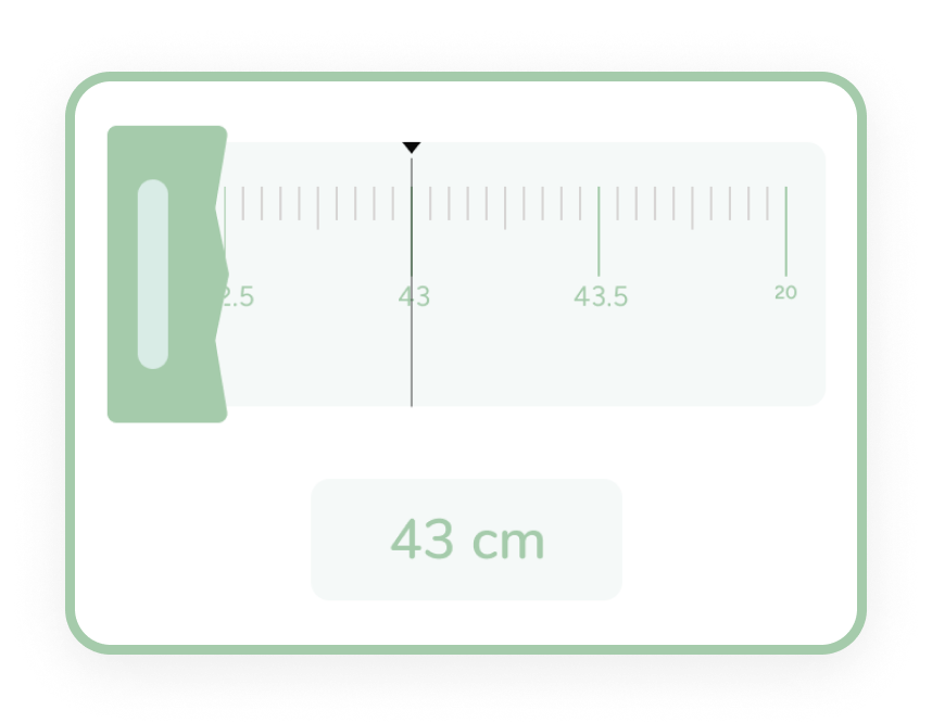 A sample of the ruler used by the Growth Tracker